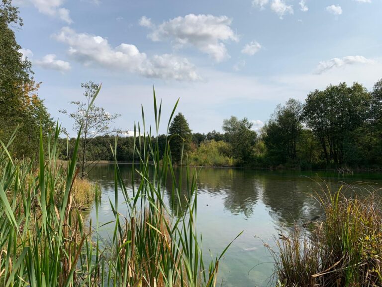 WhatsApp-Image-2020-09-14-at-08.53.44