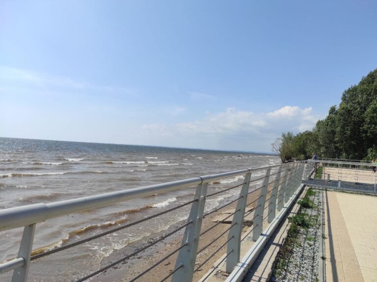 photo_2021-08-03_14-06-00