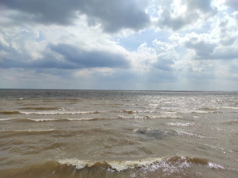 photo_2021-08-03_14-06-34